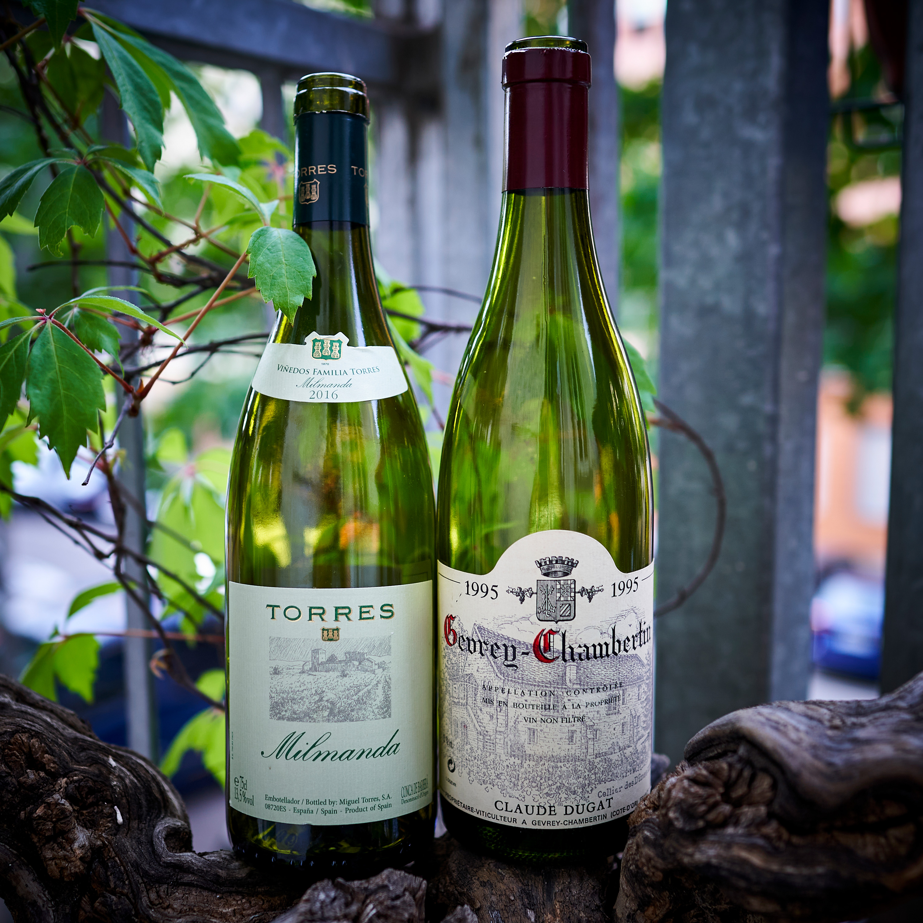 Blindflug – Wein-Podcast