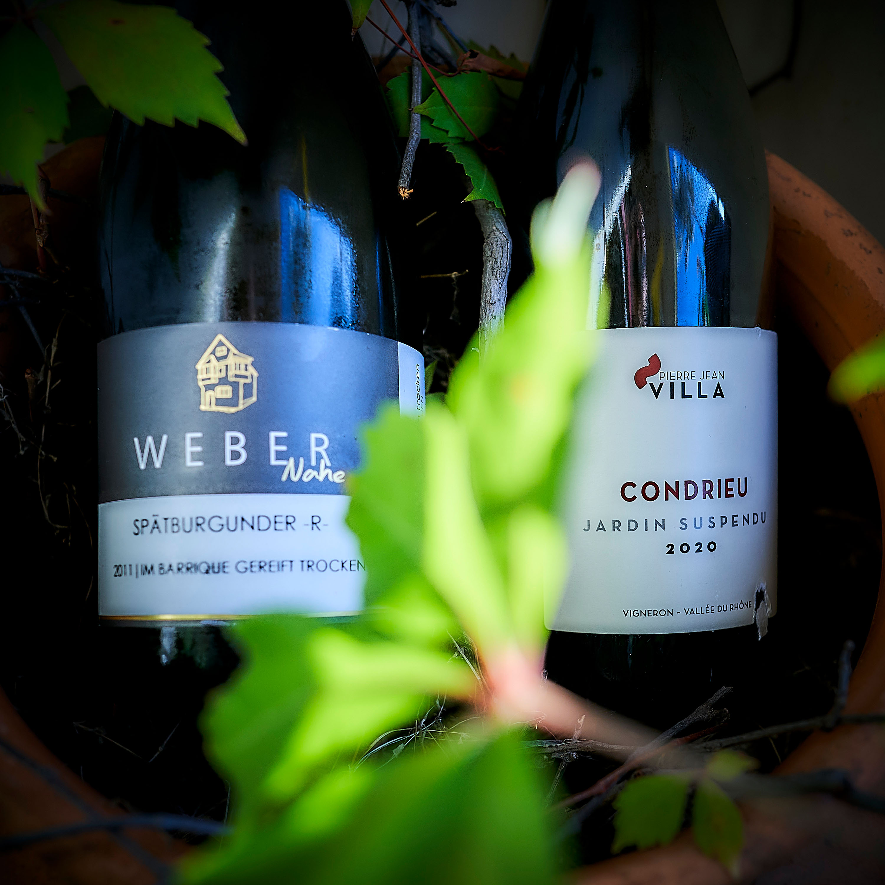 Blindflug – Wein-Podcast