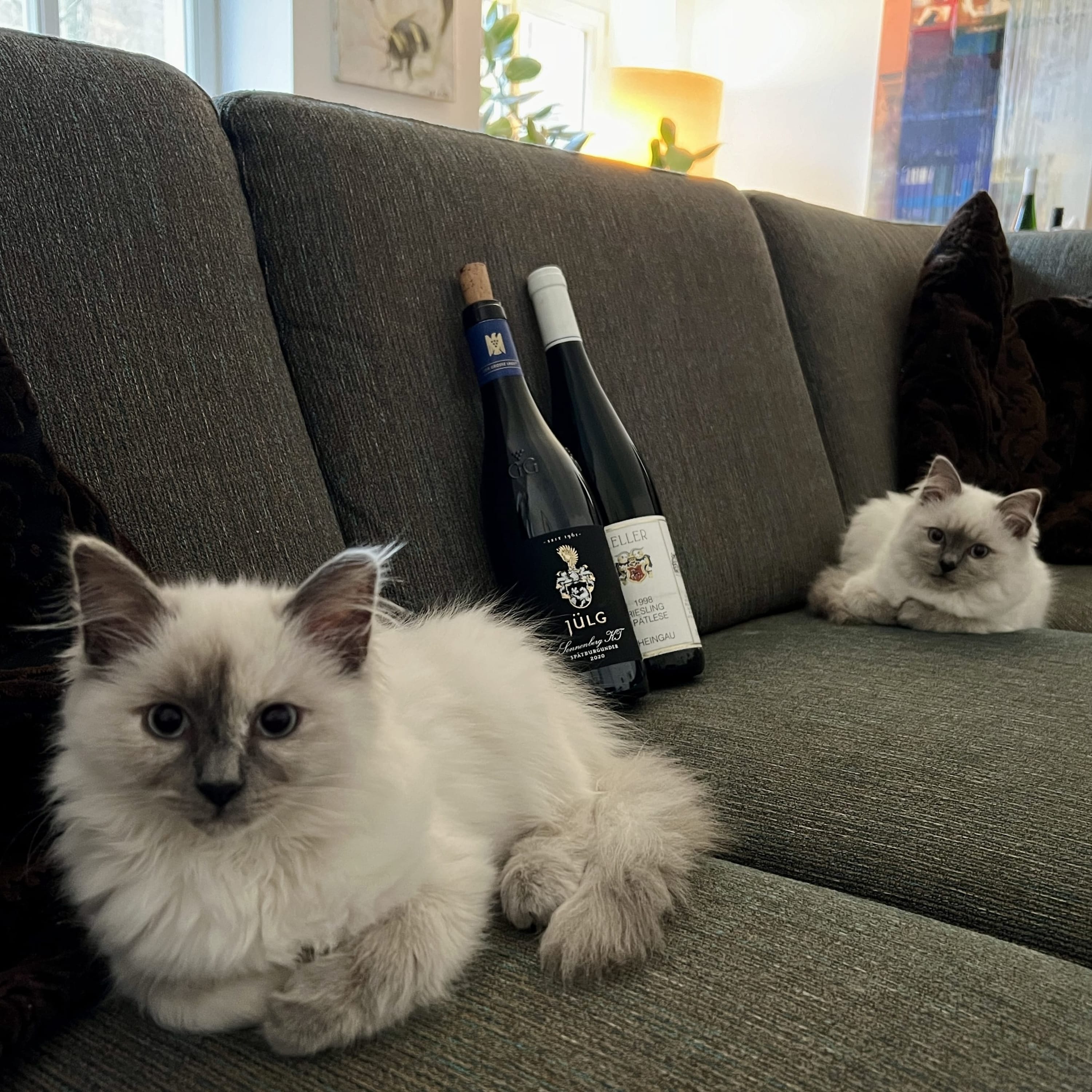 Blindflug – Wein-Podcast
