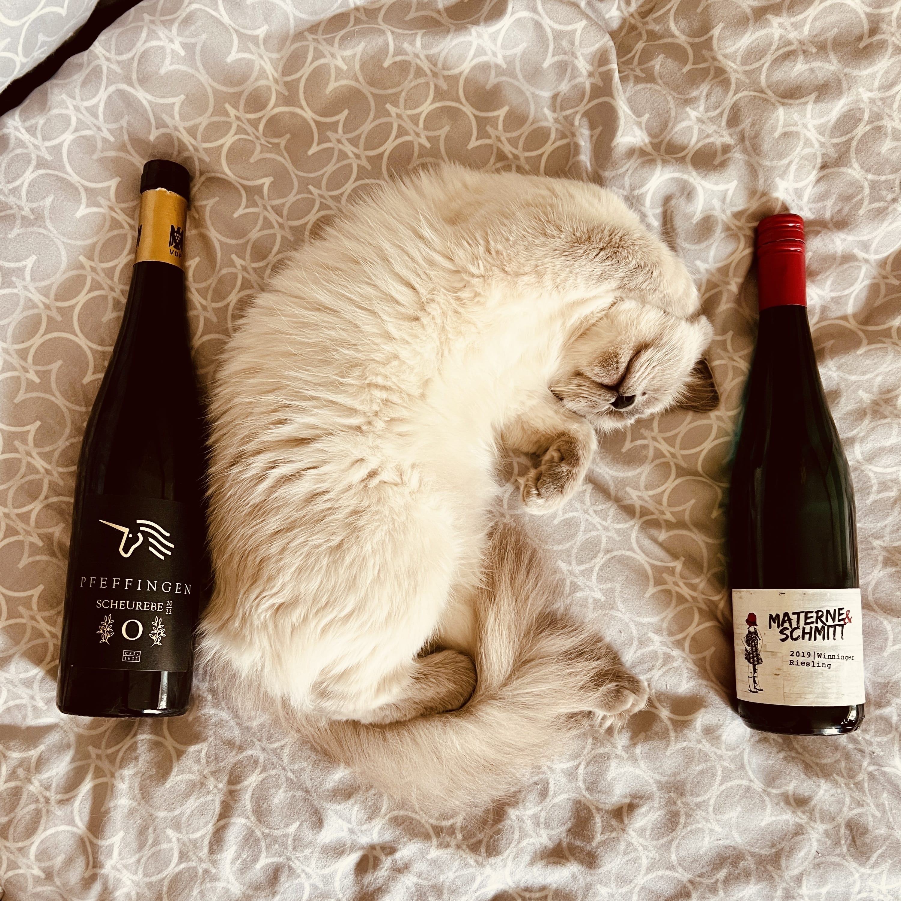 Blindflug – Wein-Podcast