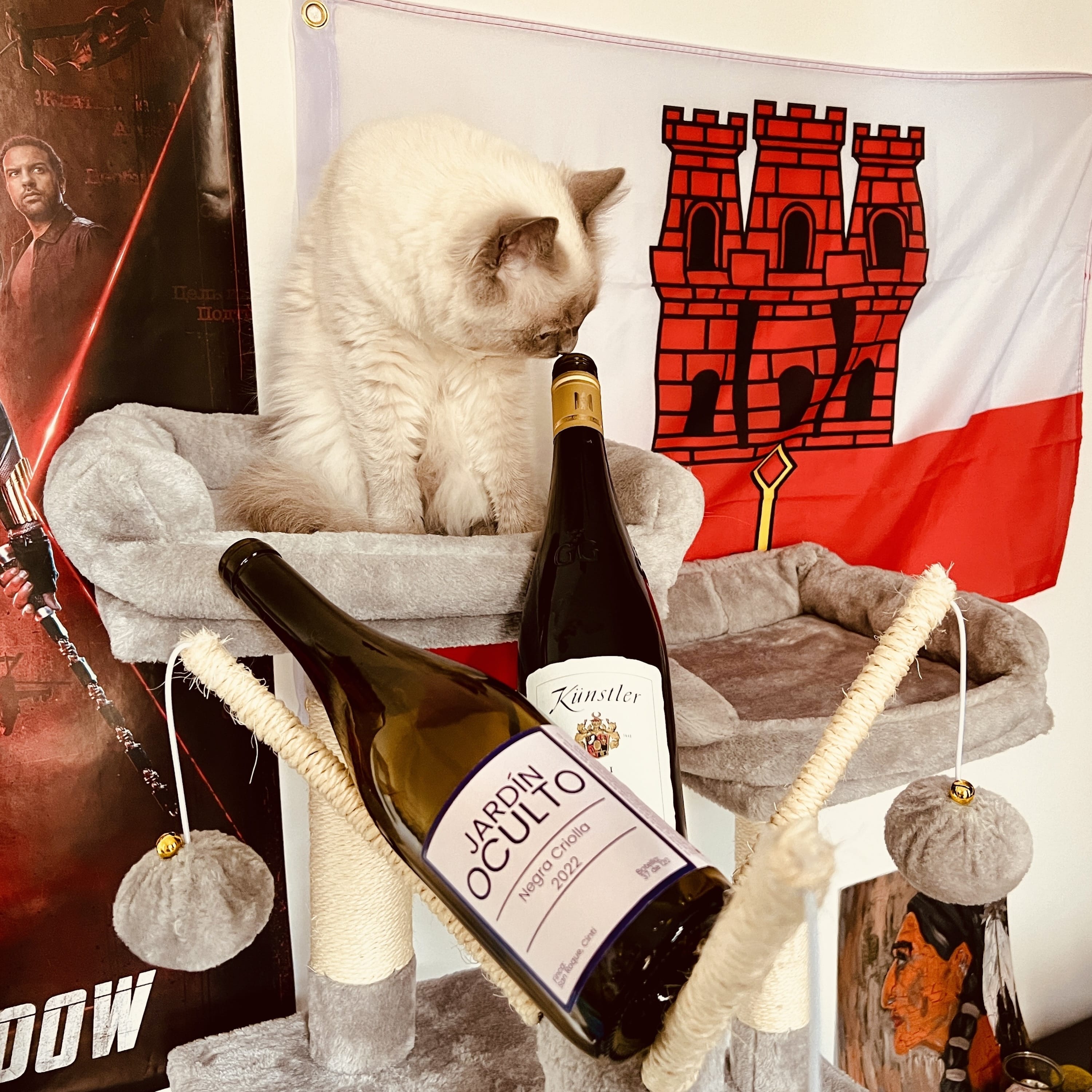 Blindflug – Wein-Podcast
