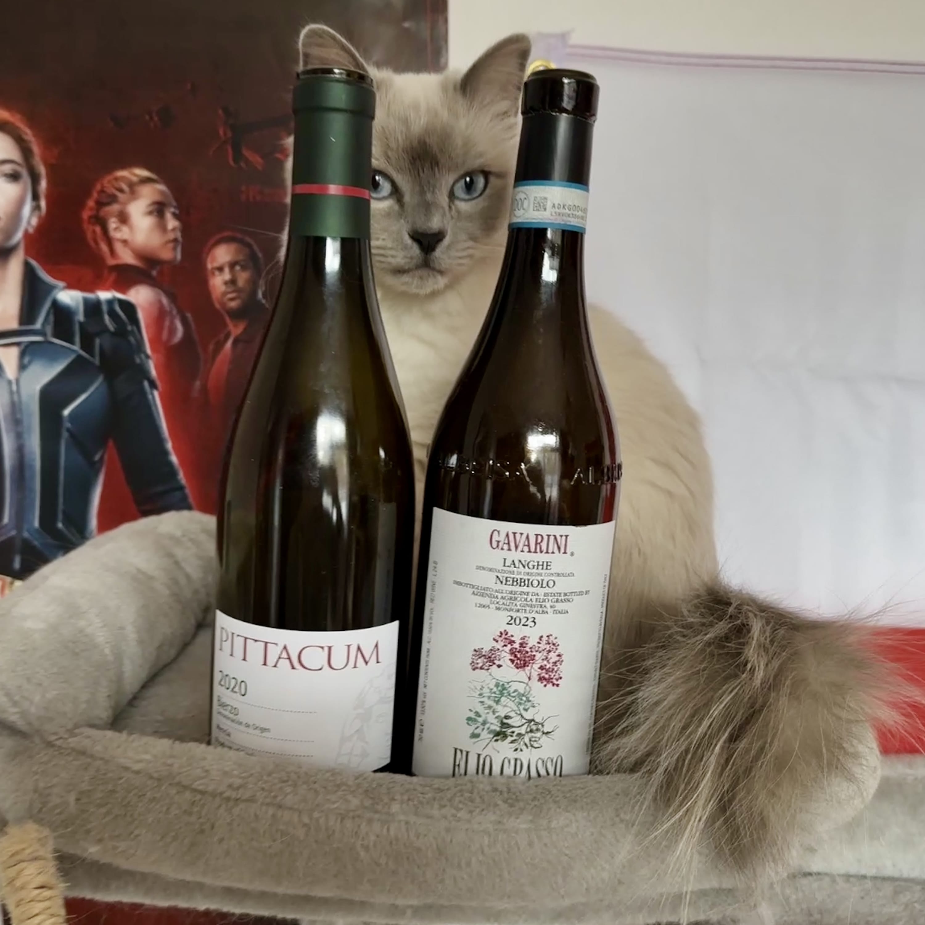 Blindflug – Wein-Podcast