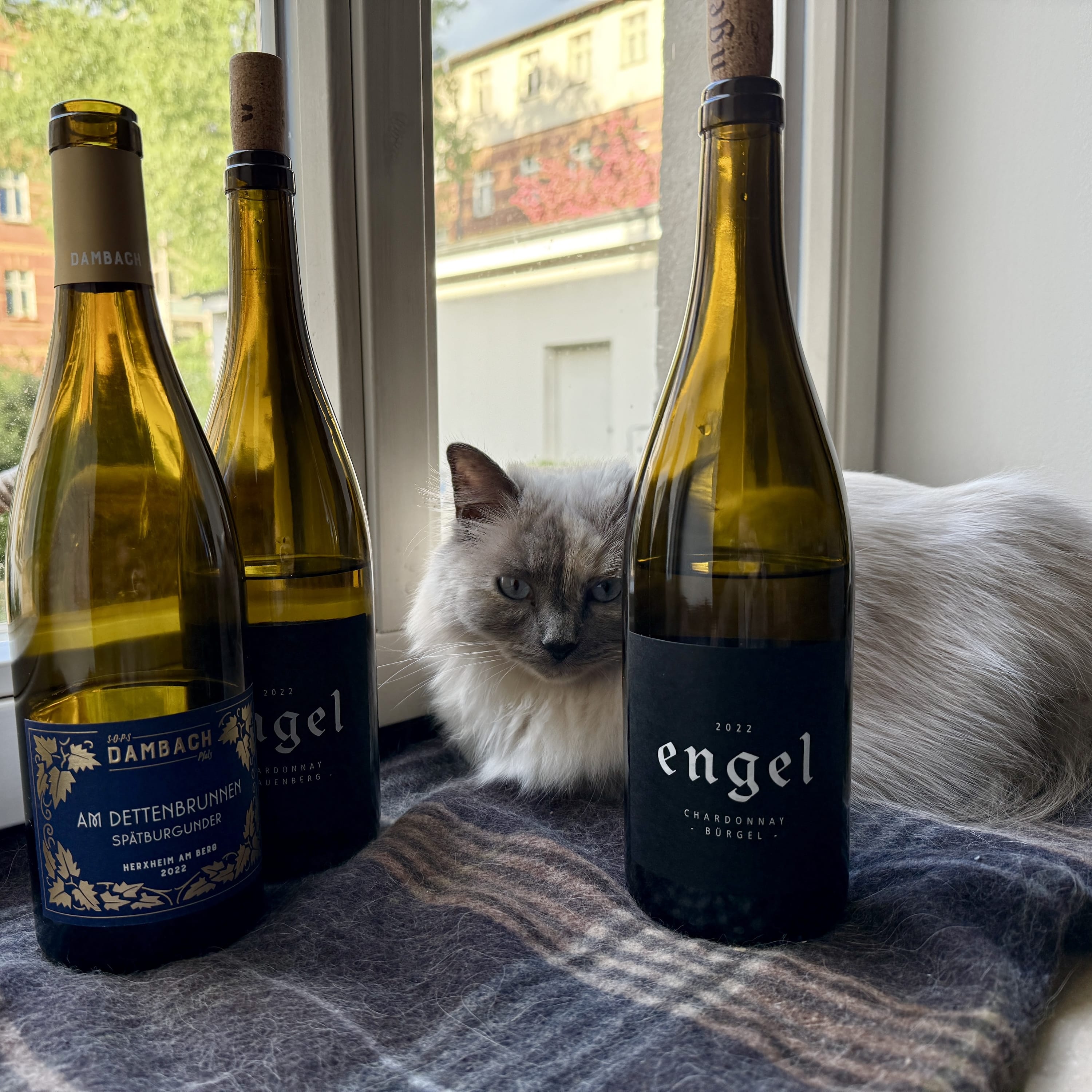 Blindflug – Wein-Podcast