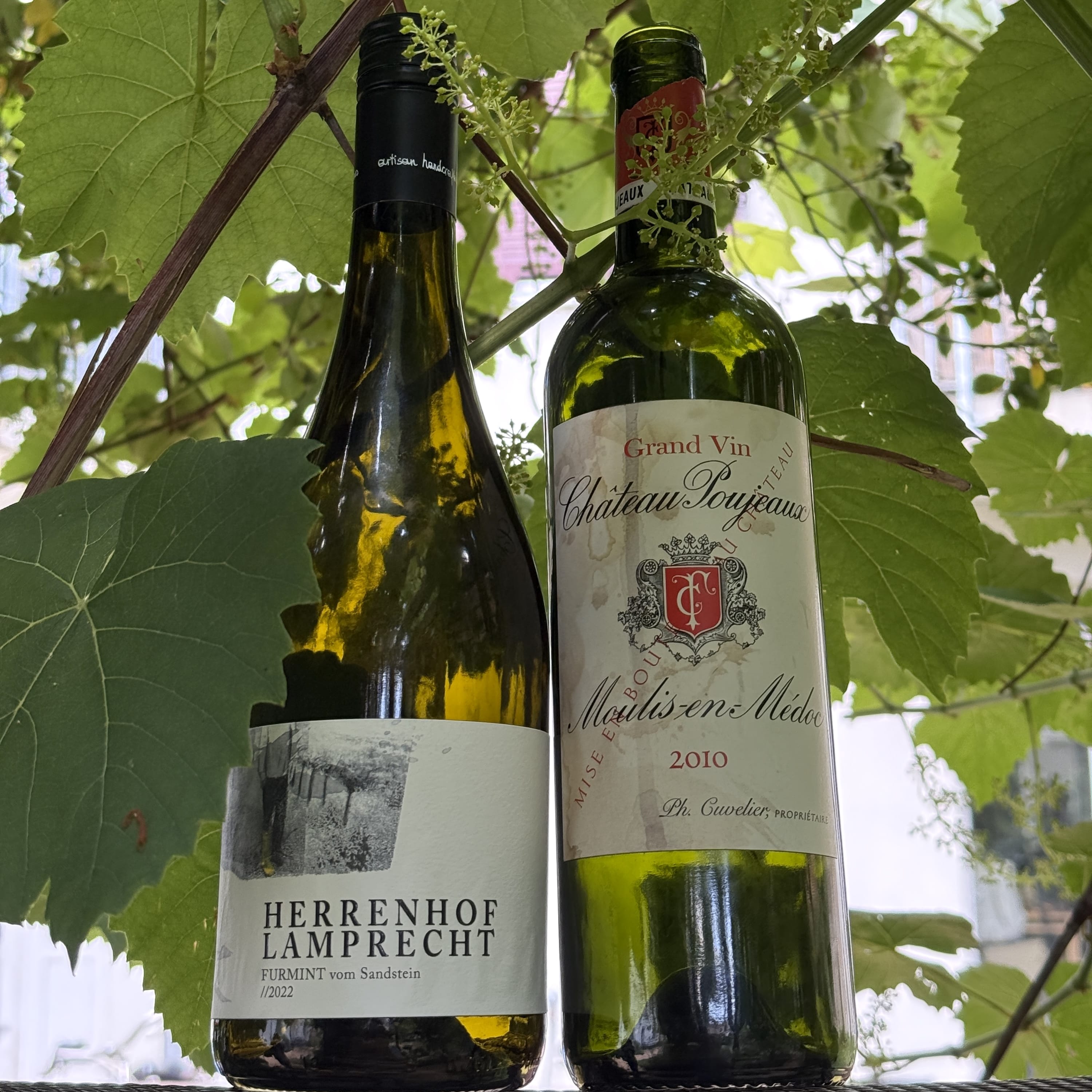 Blindflug – Wein-Podcast