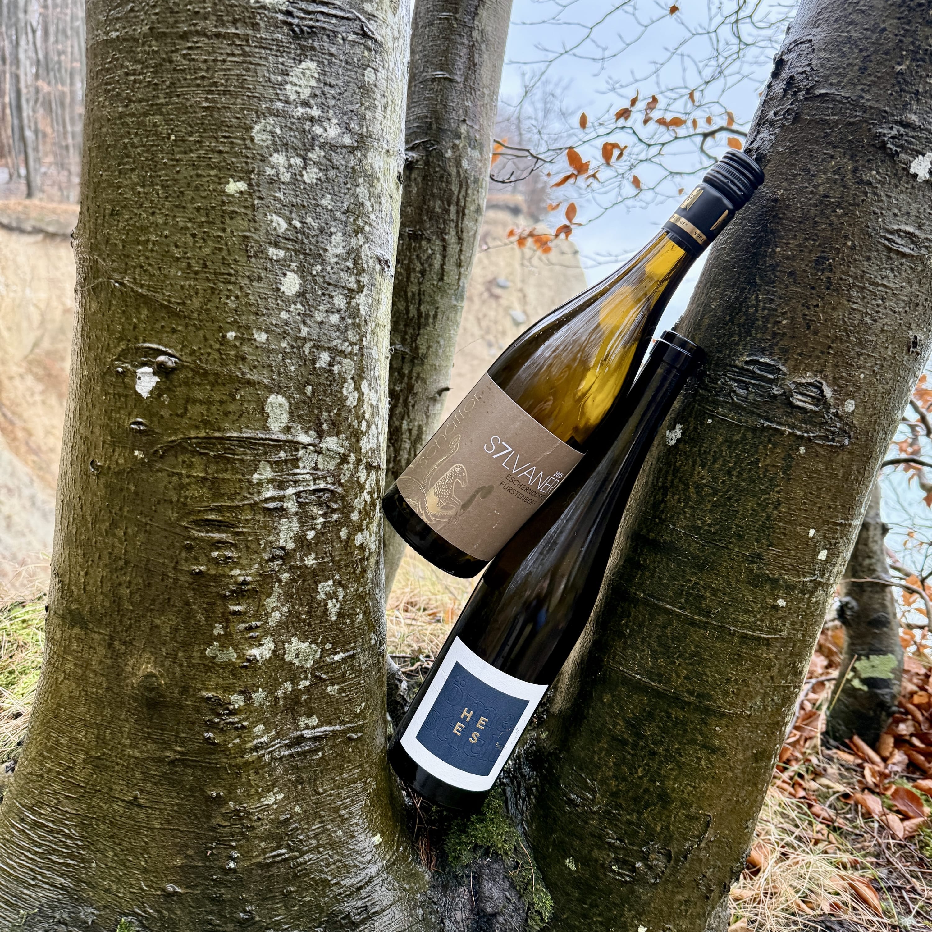 Blindflug – Wein-Podcast